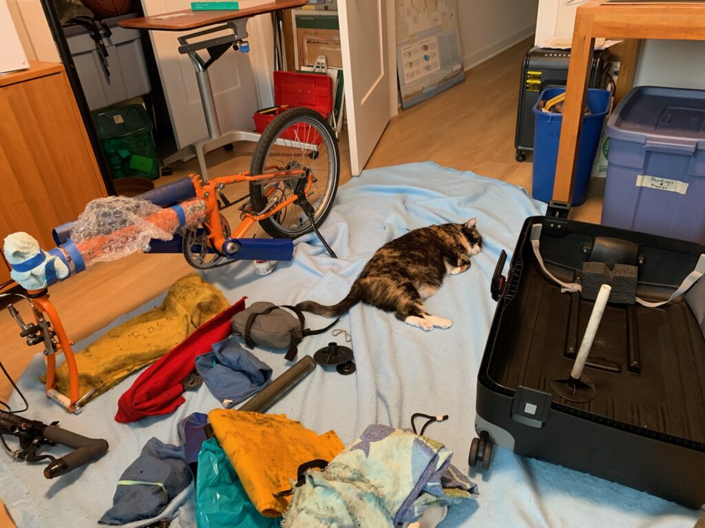 Lizzo helps pack Lizzo helps pack